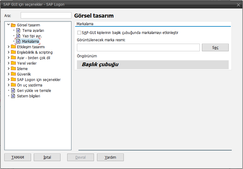 SAP Logon(GUI) ekranına özel görsel eklemek